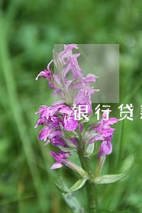 银行贷款逾期九天没还 银行贷款逾期九天没还