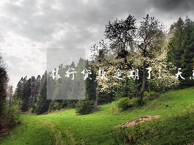 银行贷款逾期了1天怎么办 银行贷款逾期了1天怎么办