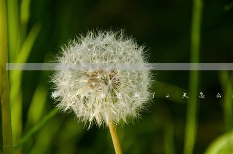 银行贷款逾期了2天怎么办 银行贷款逾期了2天怎么办