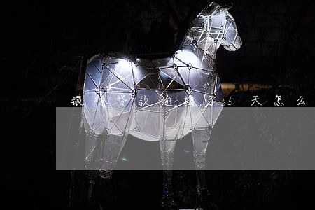 银行贷款逾期了5天怎么办 银行贷款逾期了5天怎么办