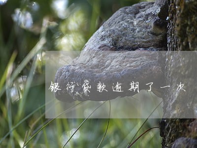 银行贷款逾期了一次 银行贷款逾期了一次