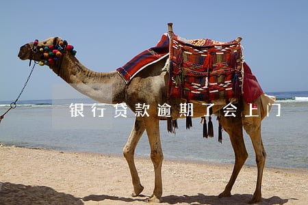 银行贷款逾期了会上门 银行贷款逾期了会上门