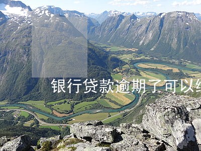 银行贷款逾期了可以续贷 银行贷款逾期了可以续贷