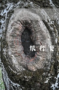 银行贷款逾期了怎么写检讨书 银行贷款逾期了怎么写检讨书