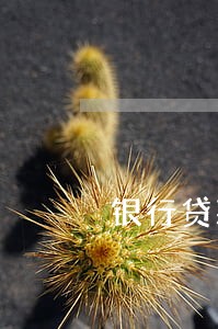 银行贷款逾期了怎么分期
