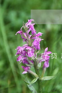 银行贷款逾期了怎么抹消 银行贷款逾期了怎么抹消