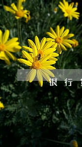 银行贷款逾期了有什么后果 银行贷款逾期了有什么后果