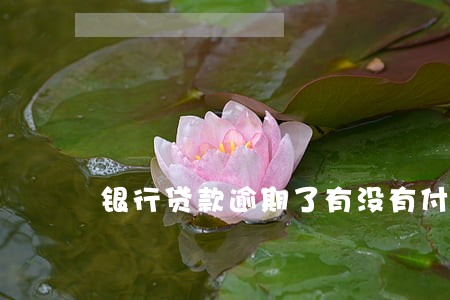 银行贷款逾期了有没有付息 银行贷款逾期了有没有付息