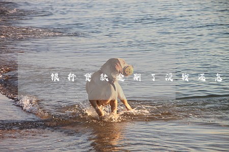 银行贷款逾期了没钱还怎么办 银行贷款逾期了没钱还怎么办