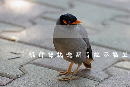 银行贷款逾期了能不能坐飞机 银行贷款逾期了能不能坐飞机