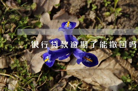 银行贷款逾期了能撤回吗 银行贷款逾期了能撤回吗