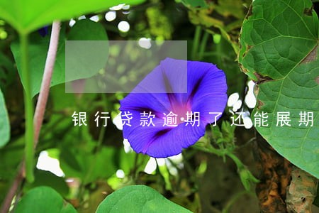 银行贷款逾期了还能展期吗 银行贷款逾期了还能展期吗