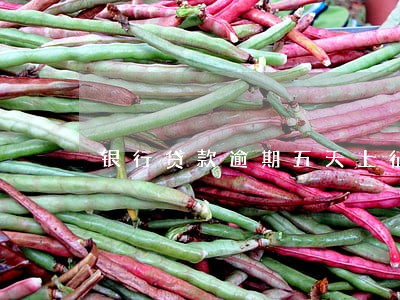 银行贷款逾期五天上征信吗 银行贷款逾期五天上征信吗
