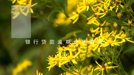 银行贷款逾期产生后果 银行贷款逾期产生后果