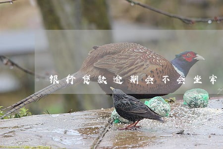 银行贷款逾期会不会坐牢 银行贷款逾期会不会坐牢