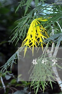 银行贷款逾期会产生利息吗 银行贷款逾期会产生利息吗