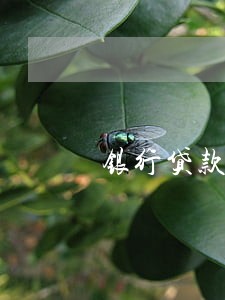 银行贷款逾期会低压房子吗 银行贷款逾期会低压房子吗