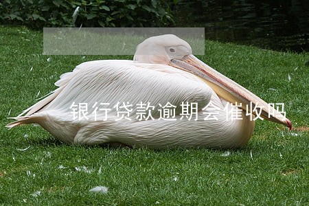 银行贷款逾期会催收吗 银行贷款逾期会催收吗