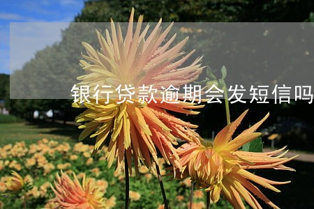 银行贷款逾期会发短信吗