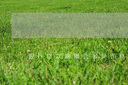 银行贷款逾期会多少罚息 银行贷款逾期会多少罚息