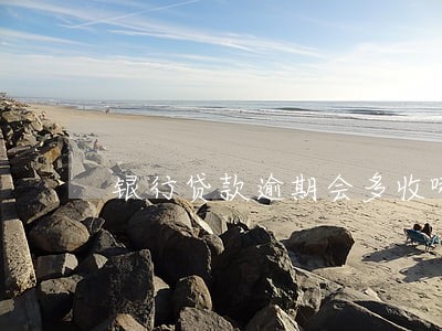银行贷款逾期会多收哪些费用 银行贷款逾期会多收哪些费用