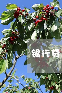 银行贷款逾期会影响多久 银行贷款逾期会影响多久