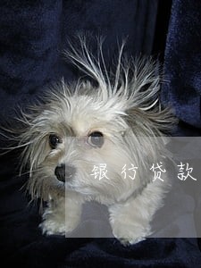 银行贷款逾期会影响工资么 银行贷款逾期会影响工资么