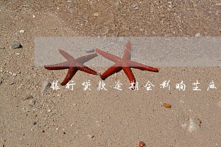 银行贷款逾期会影响芝麻信用