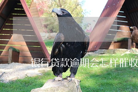 银行贷款逾期会怎样催收 银行贷款逾期会怎样催收