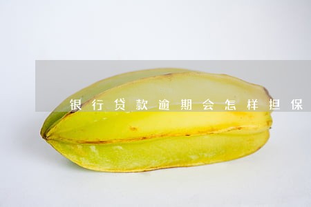 银行贷款逾期会怎样担保人 银行贷款逾期会怎样担保人