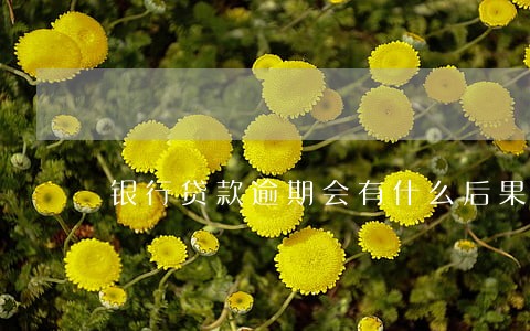 银行贷款逾期会有什么后果 银行贷款逾期会有什么后果