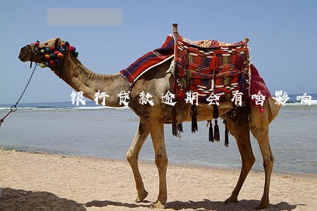 银行贷款逾期会有啥影响 银行贷款逾期会有啥影响