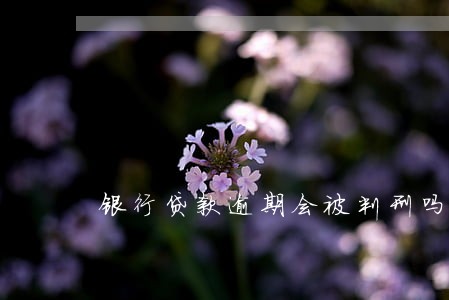 银行贷款逾期会被判刑吗 银行贷款逾期会被判刑吗