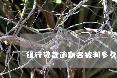 银行贷款逾期会被判多久 银行贷款逾期会被判多久