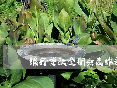 银行贷款逾期会轰炸通讯录吗 银行贷款逾期会轰炸通讯录吗