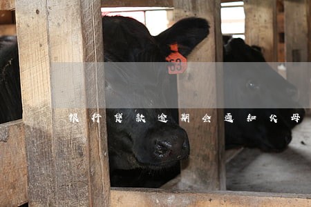 银行贷款逾期会通知父母吗 银行贷款逾期会通知父母吗