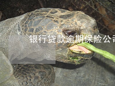 银行贷款逾期保险公司代还了 银行贷款逾期保险公司代还了