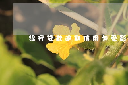 银行贷款逾期信用卡受影响吗