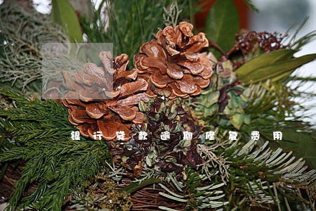 银行贷款逾期修复费用