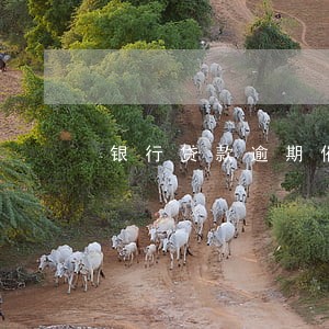 银行贷款逾期催债工作怎么样 银行贷款逾期催债工作怎么样