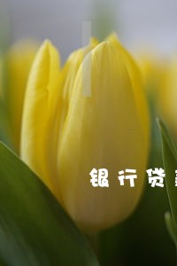 银行贷款逾期催收宣传稿 银行贷款逾期催收宣传稿