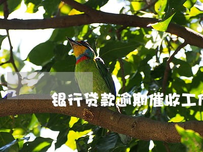 银行贷款逾期催收工作