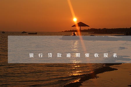 银行贷款逾期催收报表 银行贷款逾期催收报表