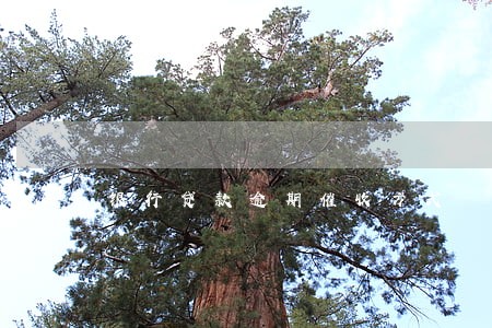银行贷款逾期催收方式 银行贷款逾期催收方式