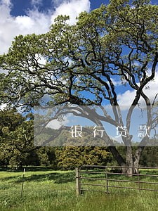 银行贷款逾期催收短信大全 银行贷款逾期催收短信大全