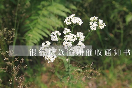 银行贷款逾期催收通知书 银行贷款逾期催收通知书