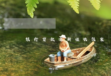 银行贷款逾期催收预案 银行贷款逾期催收预案