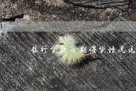 银行贷款逾期催贷情况说明 银行贷款逾期催贷情况说明