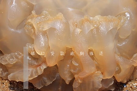 银行贷款逾期催还 银行贷款逾期催还