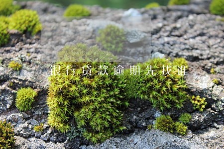 银行贷款逾期先找谁 银行贷款逾期先找谁
